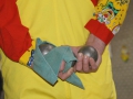 DSC03031